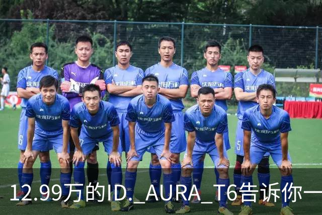 12.99万的ID. AURA T6告诉你一分钱能买两分货